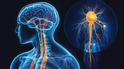 What Happens When the Central Nervous System is Damaged?